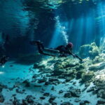 Scuba in 2 cenotes in a half-day - Final Thoughts: Is It Worth It?