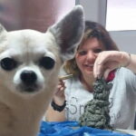 Sculpt to Florentine Pet - Authentic Insights from Reviews
