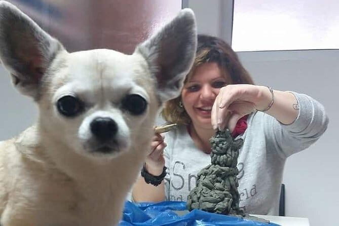 Sculpt to Florentine Pet - Authentic Insights from Reviews