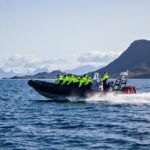 Sea Eagle Safari from Svolvær to Trollfjorden - The Details: What to Expect from Your Trollfjorden Safari