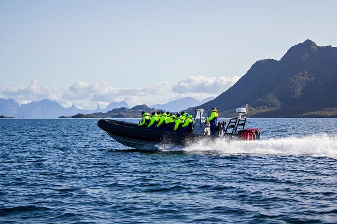 Sea Eagle Safari from Svolvær to Trollfjorden - The Details: What to Expect from Your Trollfjorden Safari