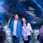SEA LIFE Aquarium Grapevine Admission Ticket - Practical Tips for Your Visit