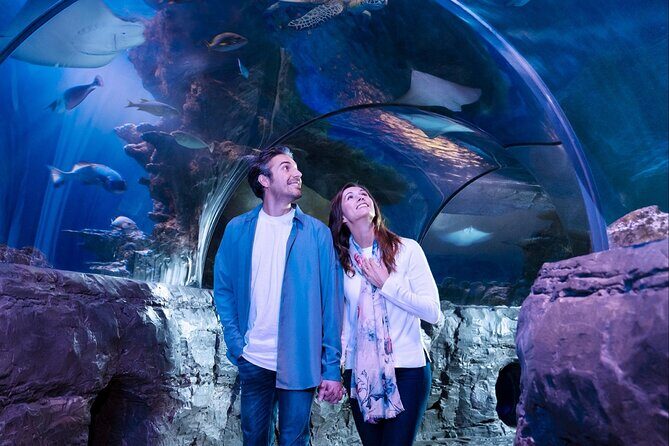 SEA LIFE Aquarium Grapevine Admission Ticket - Practical Tips for Your Visit