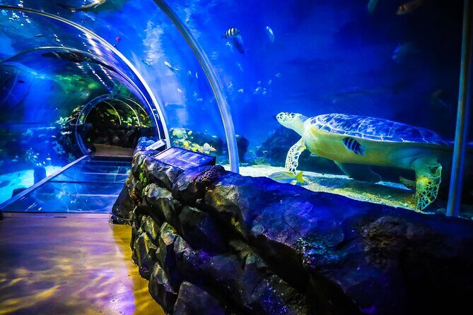 SEA LIFE Birmingham Admission Ticket - Frequently Asked Questions