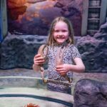 SEA LIFE Great Yarmouth - Frequently Asked Questions