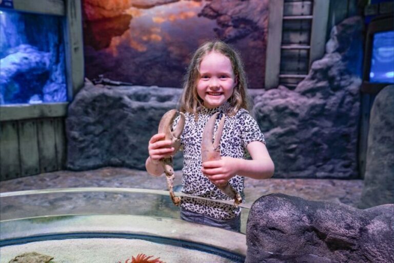 SEA LIFE Great Yarmouth - Frequently Asked Questions