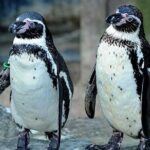 SEA LIFE Great Yarmouth General Admission - Who Will Enjoy This Tour?