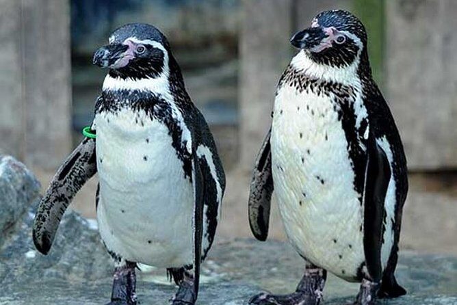 SEA LIFE Great Yarmouth General Admission - Who Will Enjoy This Tour?