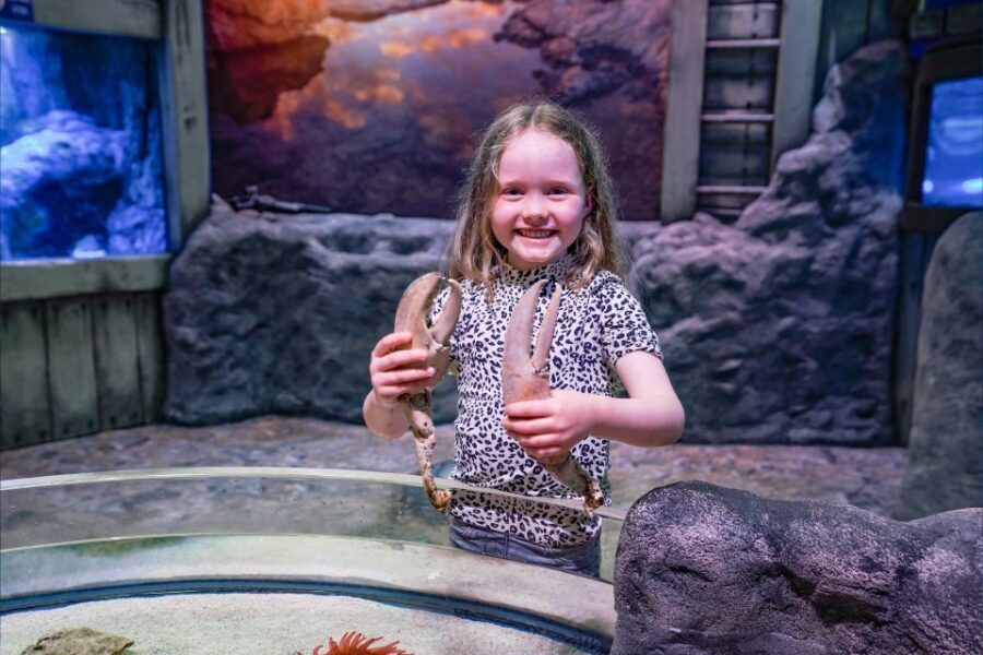 SEA LIFE Great Yarmouth - Frequently Asked Questions