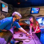 Sea Life Hunstanton - Why This Tour Is Worth It