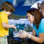SEA LIFE Kansas City Aquarium Admission Ticket - Practical Tips for Visiting