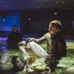 Sea Life Kelly Tarlton's Aquarium General Admission - Who Will Love Kelly Tarlton’s?