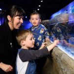 SEA LIFE London Aquarium Admission Ticket - The Highlights: Zones and Exhibits