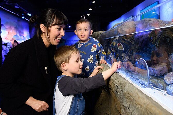 SEA LIFE London Aquarium Admission Ticket - The Highlights: Zones and Exhibits