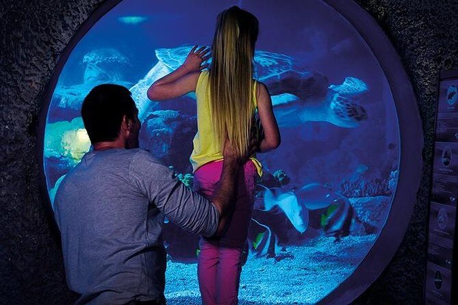 SEA LIFE Manchester Admission Ticket - The Itinerary Breakdown