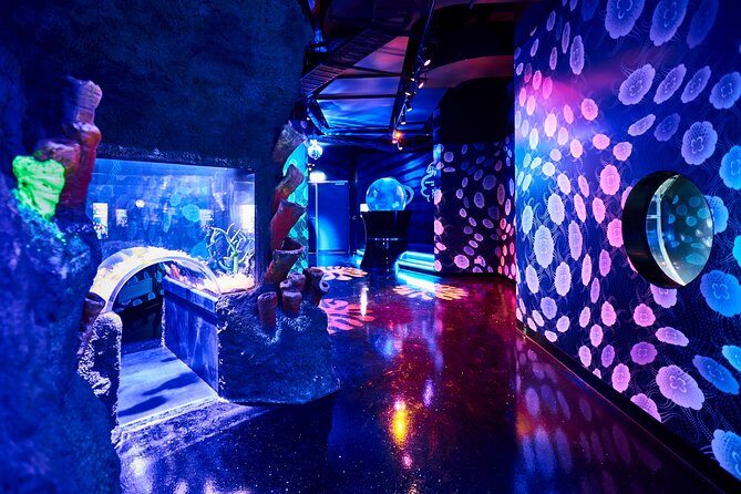 SEA LIFE Melbourne Aquarium Admission Ticket - Final Thoughts: Is It Worth It?