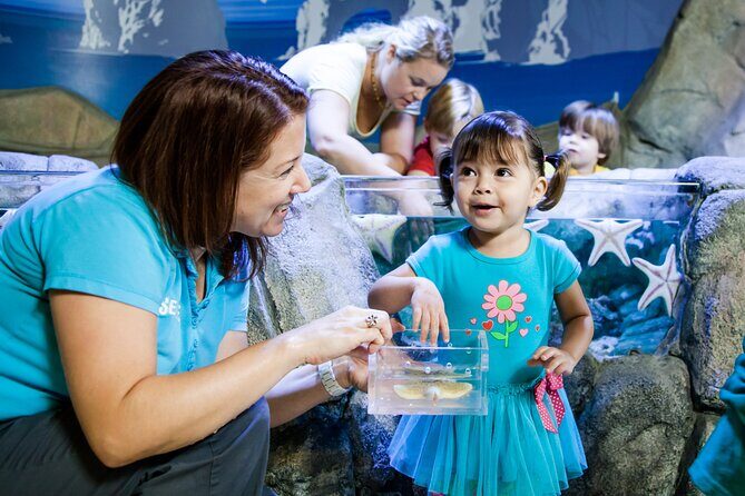 SEA LIFE Michigan Aquarium Admission Ticket - An In-Depth Look at SEA LIFE Michigan Aquarium