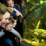 SEA LIFE Munich Admission Ticket - What Makes SEA LIFE Munich Stand Out?