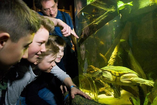 SEA LIFE Munich Admission Ticket - What Makes SEA LIFE Munich Stand Out?