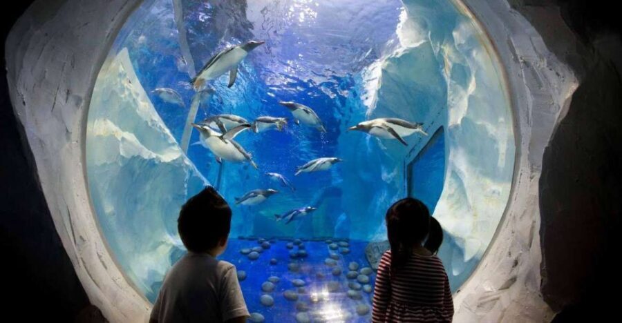 SEA LIFE Paris: Admission Ticket - Who Will Enjoy This?