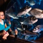 SEA LIFE Speyer Admission Ticket - Who Will Enjoy This Experience?