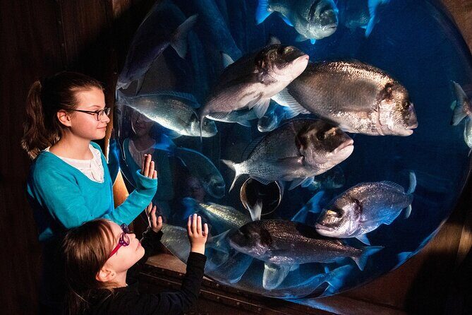 SEA LIFE Speyer Admission Ticket - Who Will Enjoy This Experience?