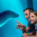 SEA LIFE Sunshine Coast Aquarium Entrance Ticket - Practical Tips for Your Visit