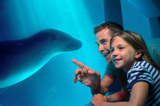 SEA LIFE Sunshine Coast Aquarium Entrance Ticket - Practical Tips for Your Visit