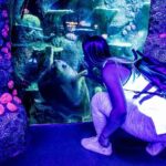 SEA LIFE Sydney Aquarium Entrance Ticket - Final Thoughts