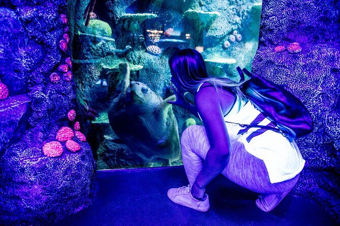 SEA LIFE Sydney Aquarium Entrance Ticket - Final Thoughts