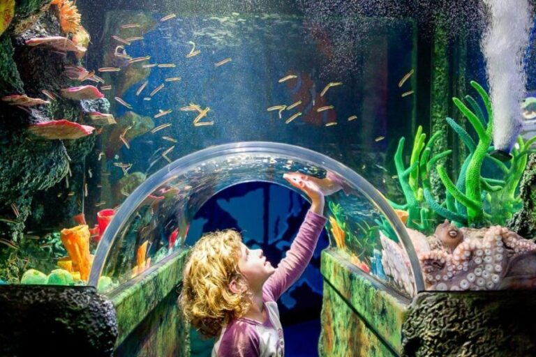 SEA LIFE Sydney Aquarium Entry Ticket - Authentic Experiences and Traveler Feedback