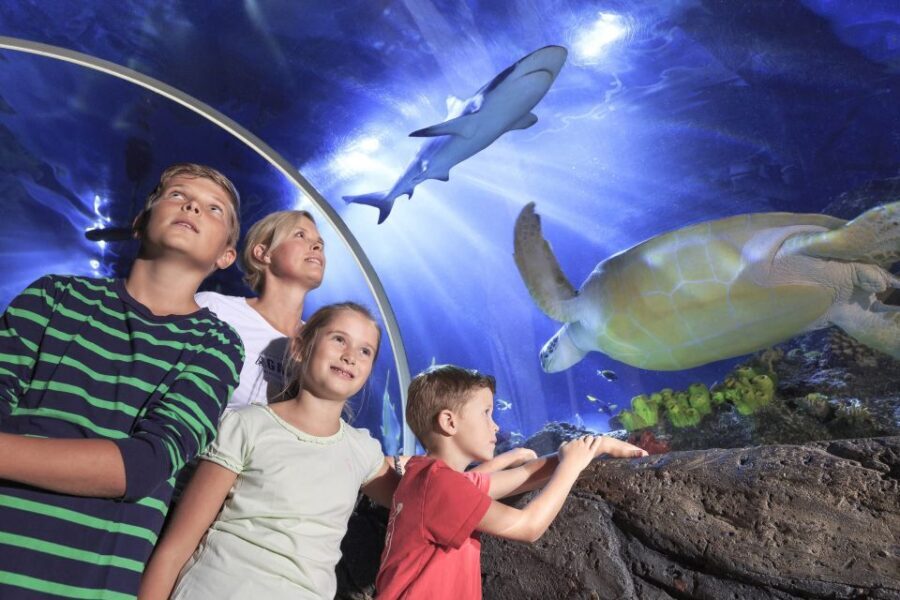 SEA LIFE Timmendorfer Strand Ticket - The Sum Up: Who Will Enjoy SEA LIFE Timmendorfer Strand?