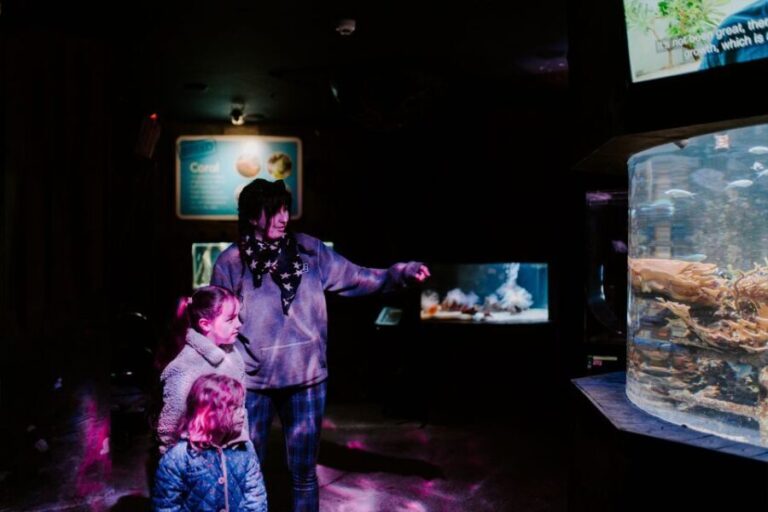 Sea Life Weymouth Admission Ticket - Who Should Consider Visiting?