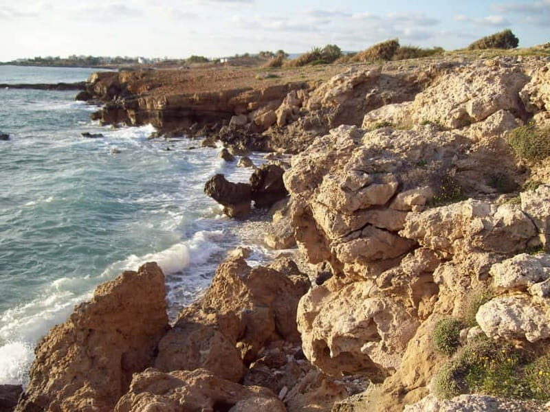 Sea Star Blue Lagoon Round Trip Cruise from Paphos - Who Should Consider This Tour?