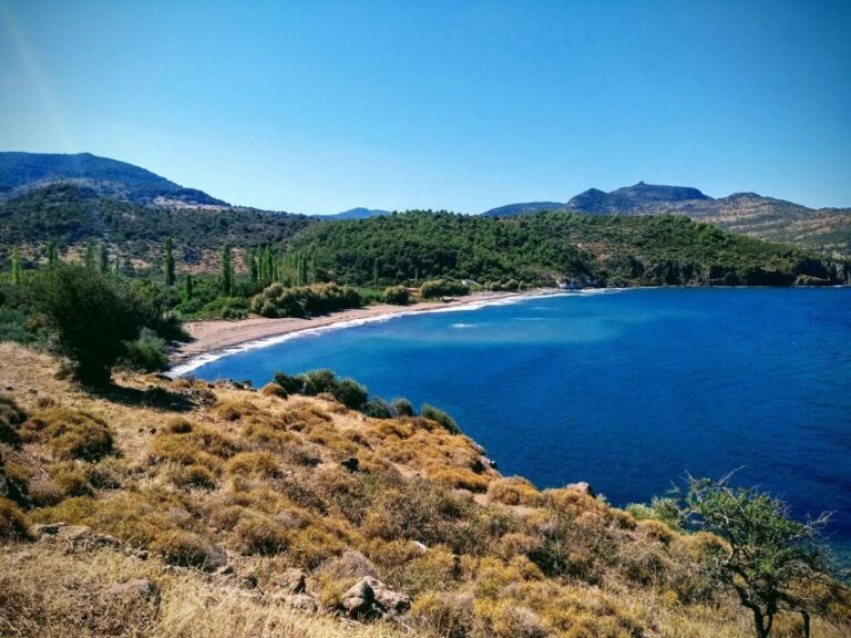 Sea, Sun and Swimming Cruise from Mytilene - A Deep Dive into the Sea, Sun, and Swimming Cruise