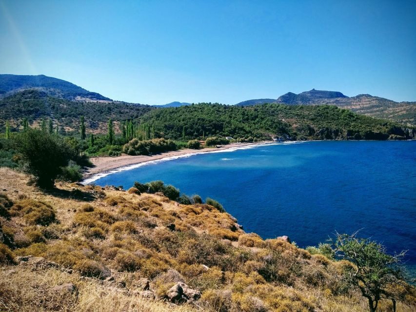 Sea, Sun and Swimming Cruise from Mytilene - A Deep Dive into the Sea, Sun, and Swimming Cruise