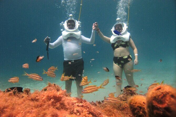 Sea Trek Adventure at Chankanaab National Park - Final Thoughts: Who Should Consider This Tour?