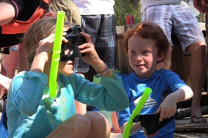 Sea Turtle Snorkeling Ecofriendly Tour from Cancun & Riviera Maya - Who Will Love This Tour?