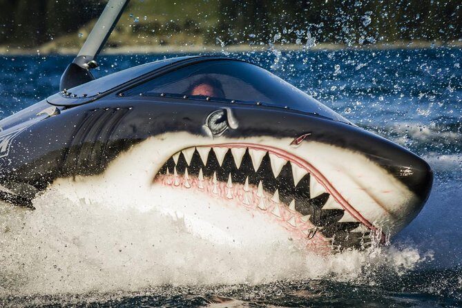 Seabreacher Ride in Cancun - Practicalities and Tips for the Best Experience