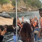 Seal & Dolphin Adventure - A Closer Look at the Seal & Dolphin Adventure