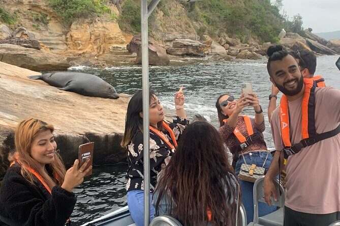 Seal & Dolphin Adventure - A Closer Look at the Seal & Dolphin Adventure