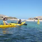Seal Island and Penguin Island or Point Peron Sea Kayak Tour - Why This Tour Offers Great Value