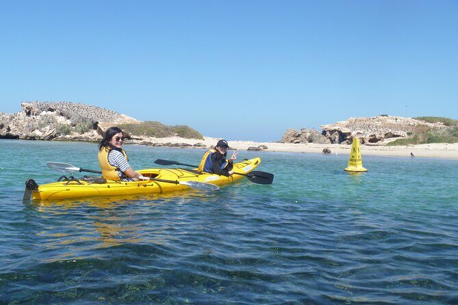Seal Island and Penguin Island or Point Peron Sea Kayak Tour - Why This Tour Offers Great Value