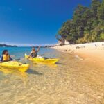 Seal Sanctuary Tour - Guided Kayaking - New Zealand - The Sum Up