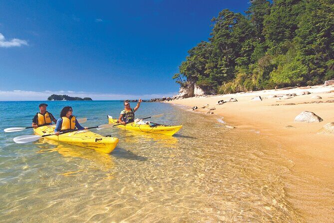 Seal Sanctuary Tour - Guided Kayaking - New Zealand - The Sum Up