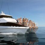 Seastar Luxury Outer Great Barrier Reef Island and Reef Tour - What Sets This Tour Apart?