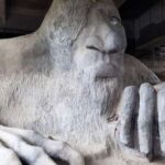 Seattle: 3-Hour City Highlights Tour - The Experience: What Travelers Truly Value