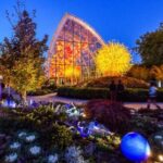 Seattle: Chihuly Garden and Glass Entry Ticket - Dive Deeper: Why We Think This Tour Is Worth It