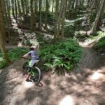 Seattle: Half Day All-Inclusive Mountain Bike Tour - What to Expect from the Tour