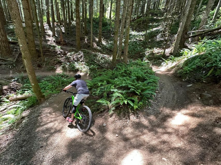 Seattle: Half Day All-Inclusive Mountain Bike Tour - What to Expect from the Tour